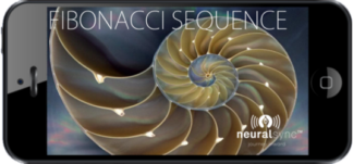fibonacci sequence by neuralsync