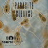 Parasite Cleanse Rife Detox Protocol