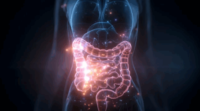 NeuralSync™ Rife Frequencies:: Detox Parasites with Frequencies