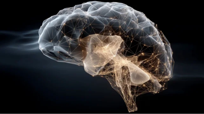 BrainEv vs NeuralSync Neuro-Frequency Technology